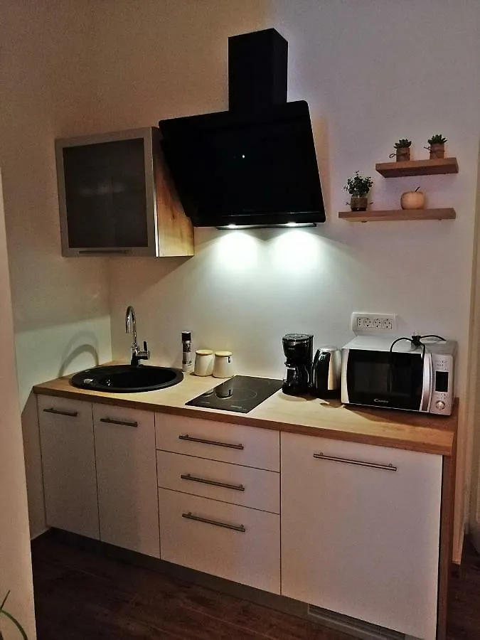 Studio Apartman Villa Gianna Lovran 0*,